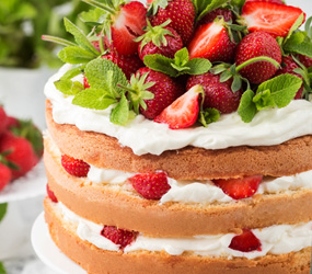 Sponge cake